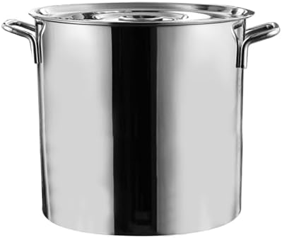 AIZYR 6L Stainless Steel Stock Pot with Lid