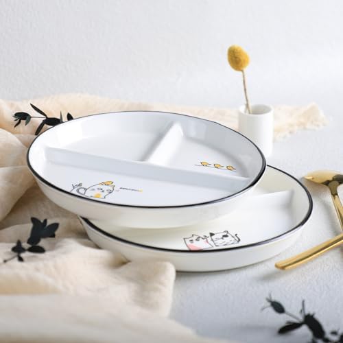 Bicuzat 8 Inch Ceramic Dinosaur Portion Control Plate