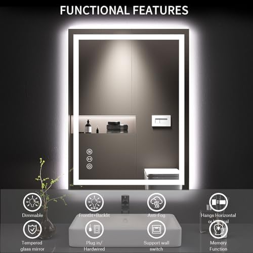 LOAAO 24X32 LED Bathroom Mirror with Lights and Anti-Fog