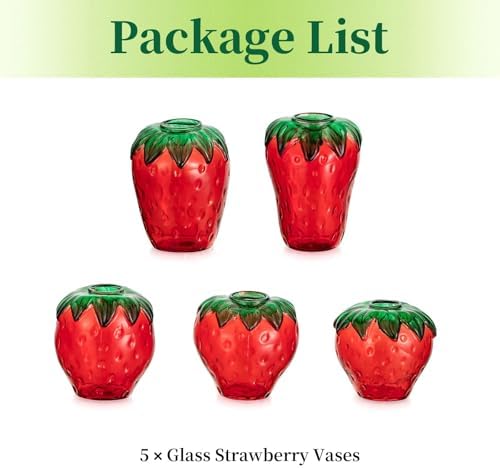Glass Strawberry Plant Vases for Home Decor and Propagation