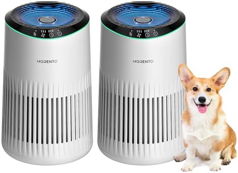MERONTE Small Air Purifier with Sleep Mode and Blue Light