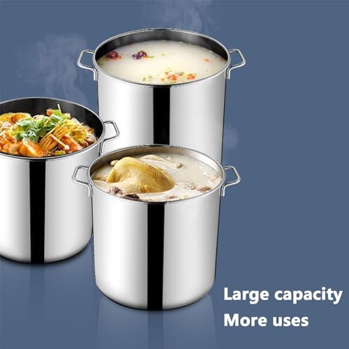 AIZYR 6L Stainless Steel Stock Pot with Lid