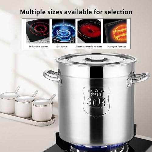 AIZYR 6L Stainless Steel Stockpot with Steel Lid