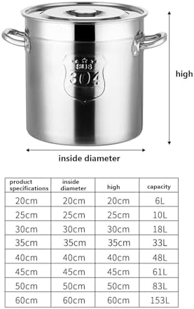 AIZYR 6L Stainless Steel Stockpot with Steel Lid