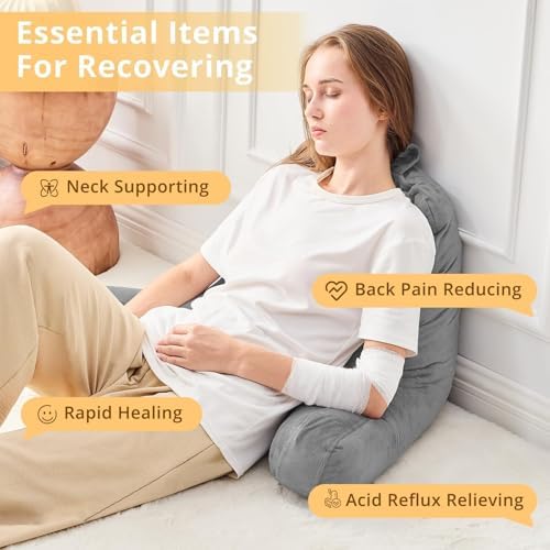 Sasttie Reading Pillow for Bed with Velvet Cover