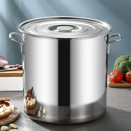 AIZYR 6L Stainless Steel Stock Pot with Lid