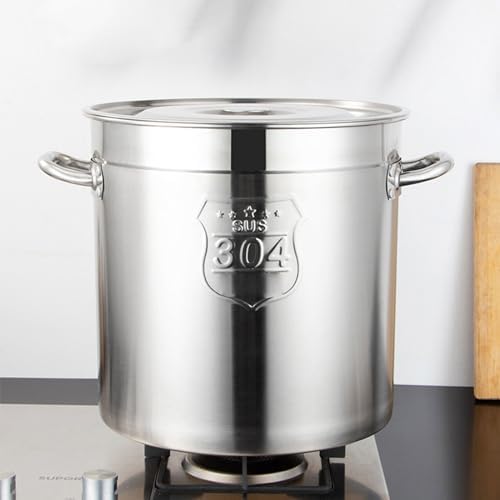 AIZYR 6L Stainless Steel Stockpot with Steel Lid