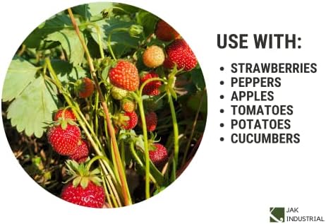 25 Pack Large Vented Berry Basket - Eco-Friendly Food Containers