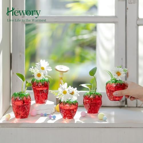 Glass Strawberry Plant Vases for Home Decor and Propagation