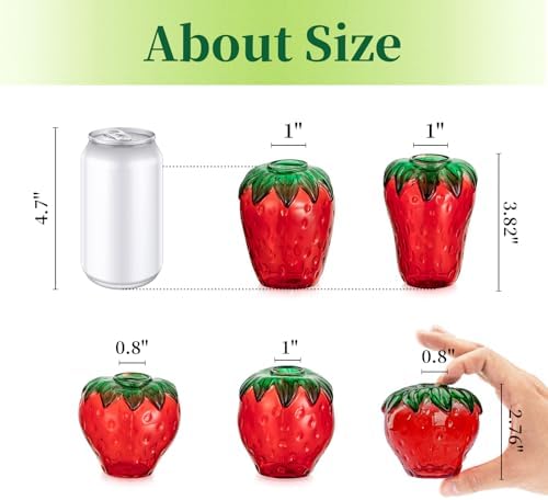 Glass Strawberry Plant Vases for Home Decor and Propagation