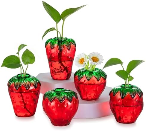 Glass Strawberry Plant Vases for Home Decor and Propagation