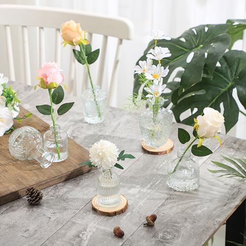 Rollescera Clear Glass Bud Vases in Bulk 30
