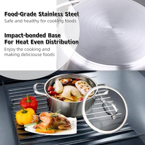 6-Quart Stainless Steel Stockpot with Tempered Glass Lid