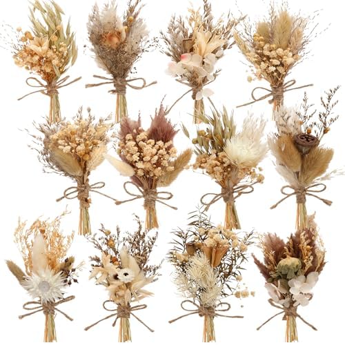 Layhit 12 Pack Mini Boho Dried Flower Bouquets
