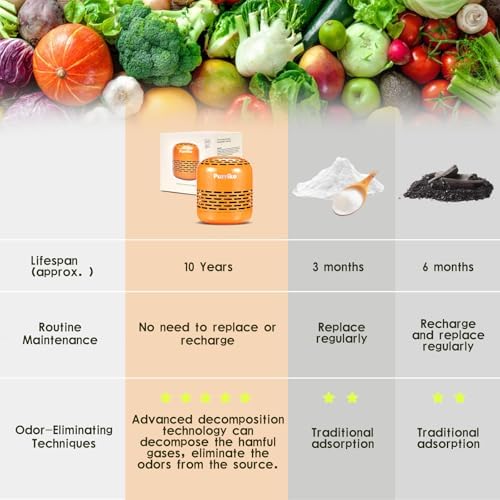 Purriko Fridge Deodorizer with 10-Year Life