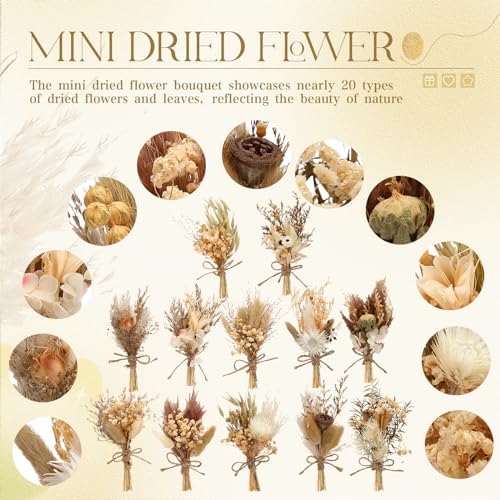 Layhit 12 Pack Mini Boho Dried Flower Bouquets