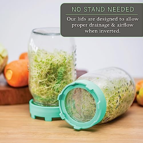 Elementi Sprouting Jar Kit Set of 2 for Mason Jars
