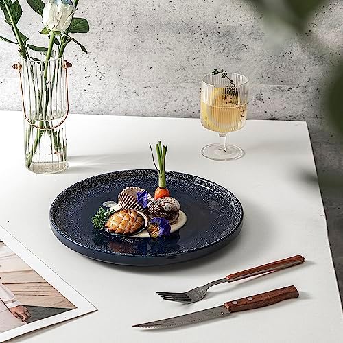 SQS CERAMICS Dinner Plates Set of 6 Navy Blue