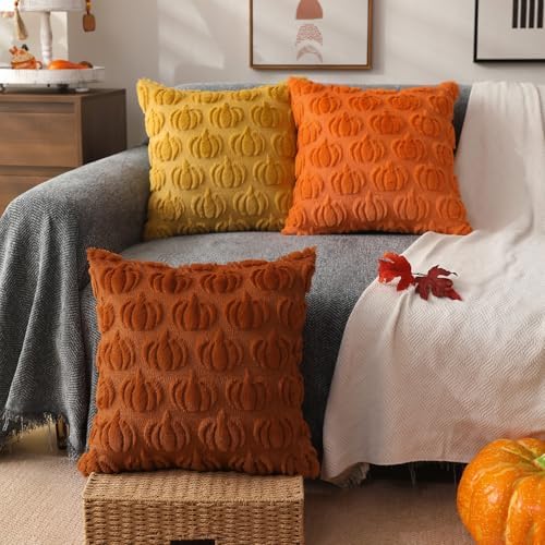 DFXSZ Plush Fall Pillow Covers Set of 2 18x18