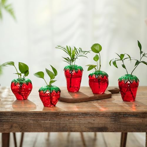 Glass Strawberry Plant Vases for Home Decor and Propagation