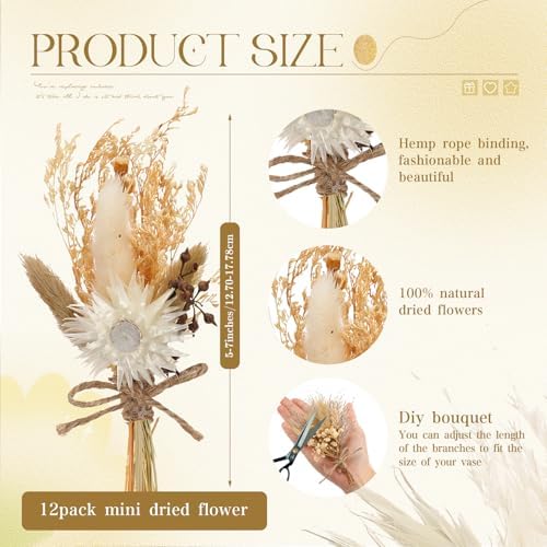 Layhit 12 Pack Mini Boho Dried Flower Bouquets