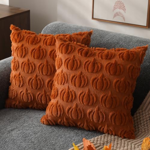 DFXSZ Plush Fall Pillow Covers Set of 2 18x18