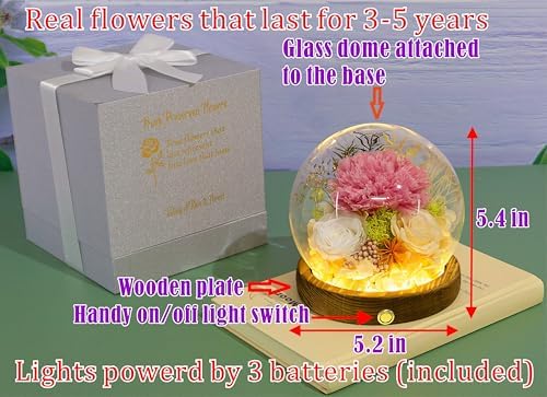 Valley of Rain Forest Preserved Flower Arrangement
