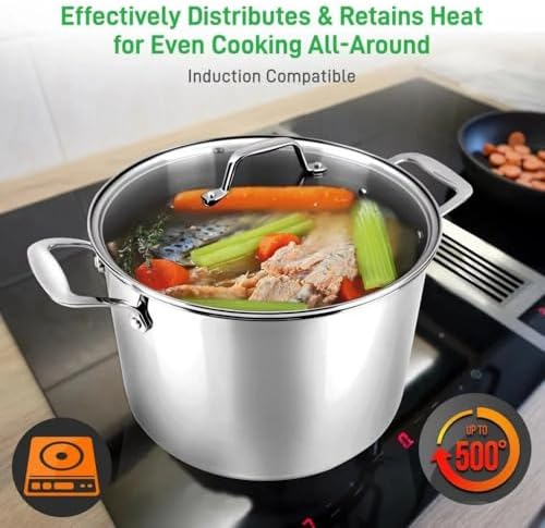 6 Quart Stainless Steel Stock Pot with Lid