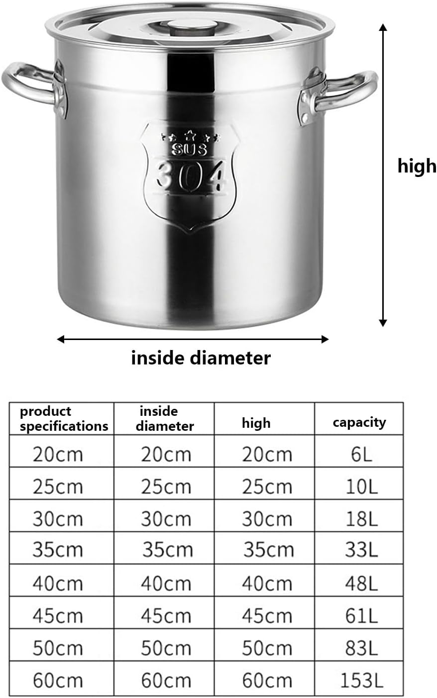 AIZYR 6L Stainless Steel Stockpot with Steel Lid