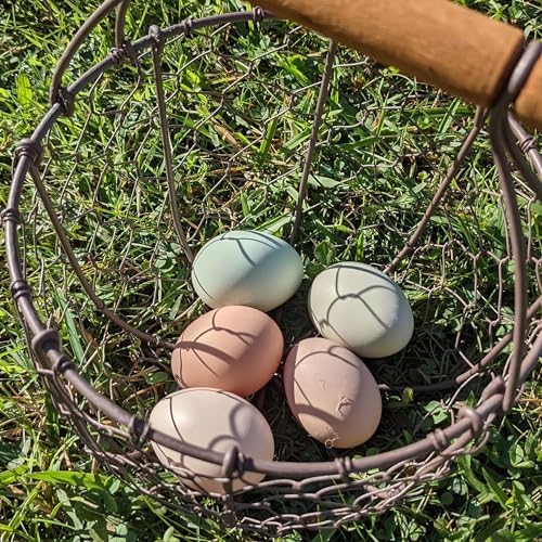 Round Chicken Wire Egg Basket with Wooden Handle