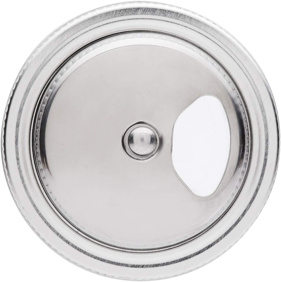 Jarware Stainless Steel Spice Shaker for Regular Mouth Mason Jars