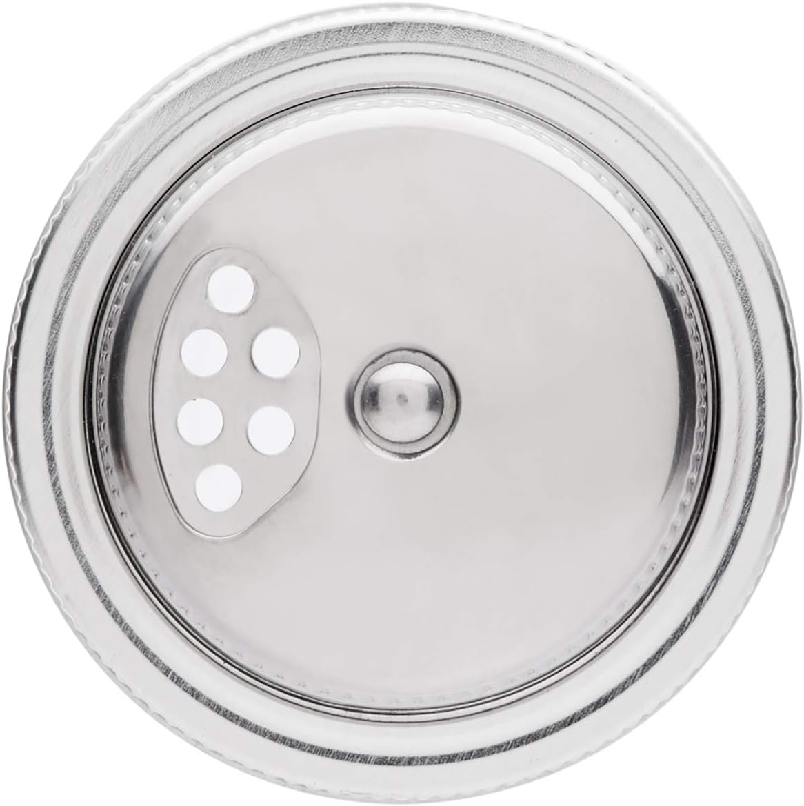 Jarware Stainless Steel Spice Shaker for Regular Mouth Mason Jars