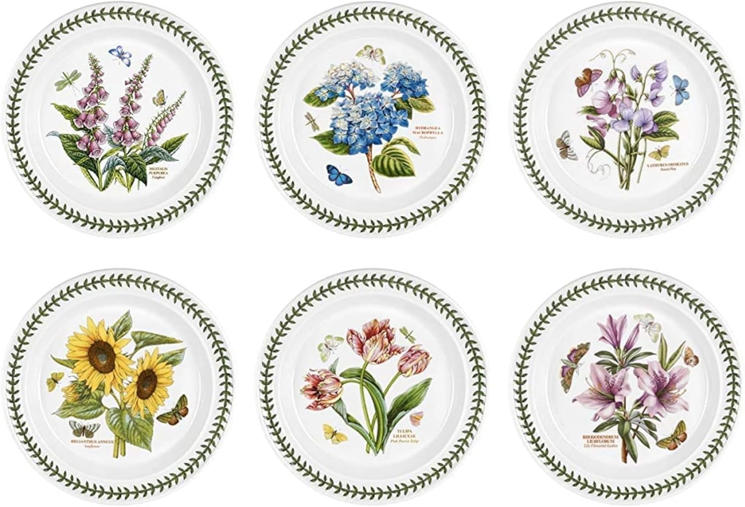 Portmeirion Botanic Garden Dinner Plates Set of 6