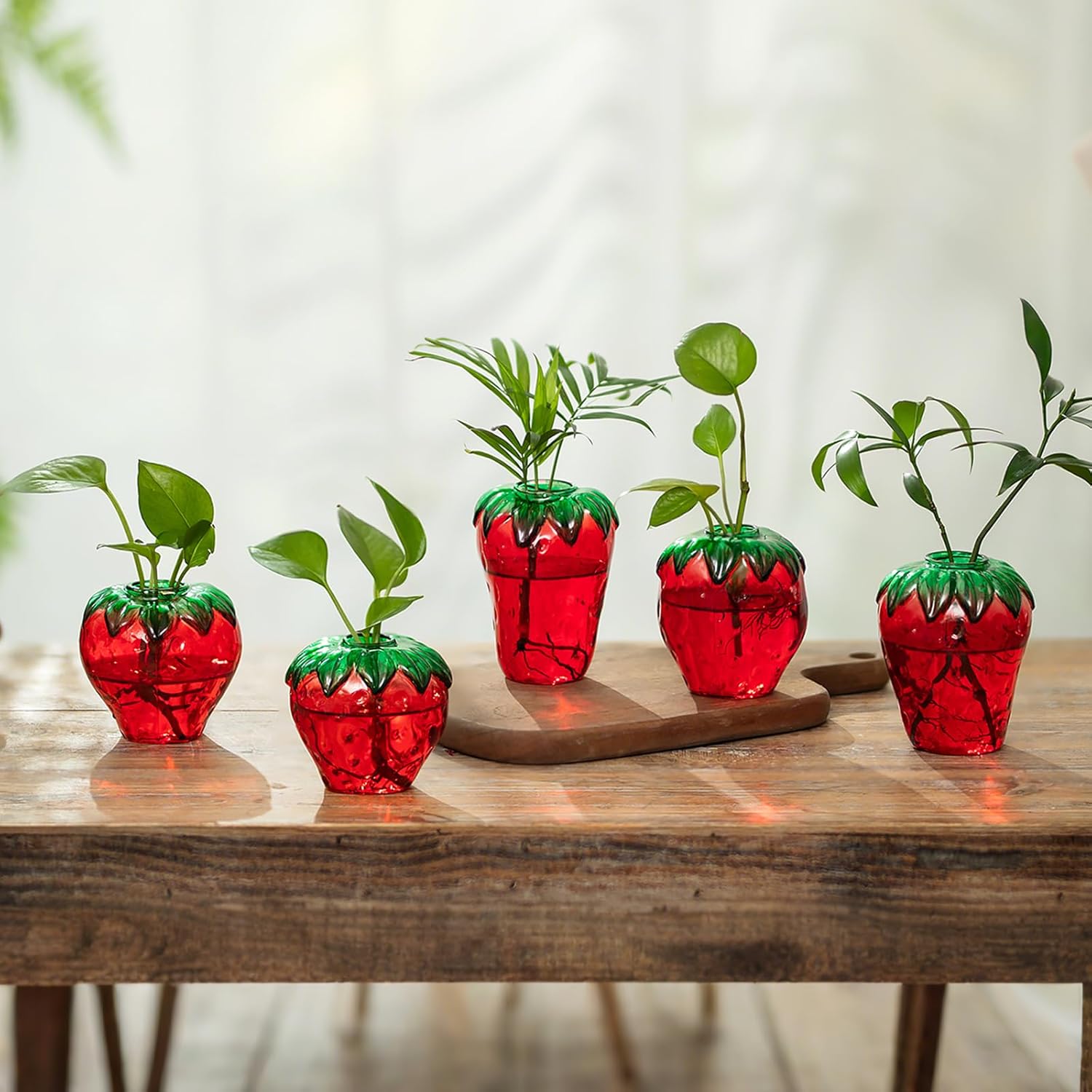 Glass Strawberry Plant Vases for Home Decor and Propagation