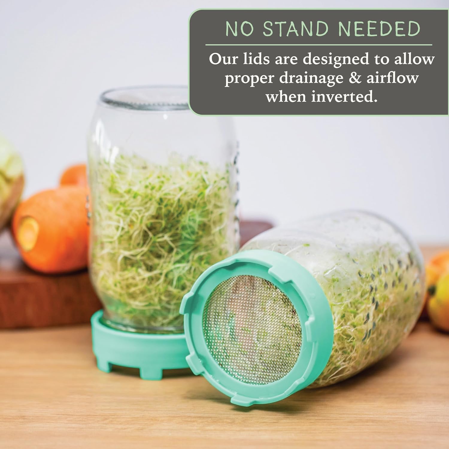 Elementi Sprouting Jar Kit Set of 2 for Mason Jars