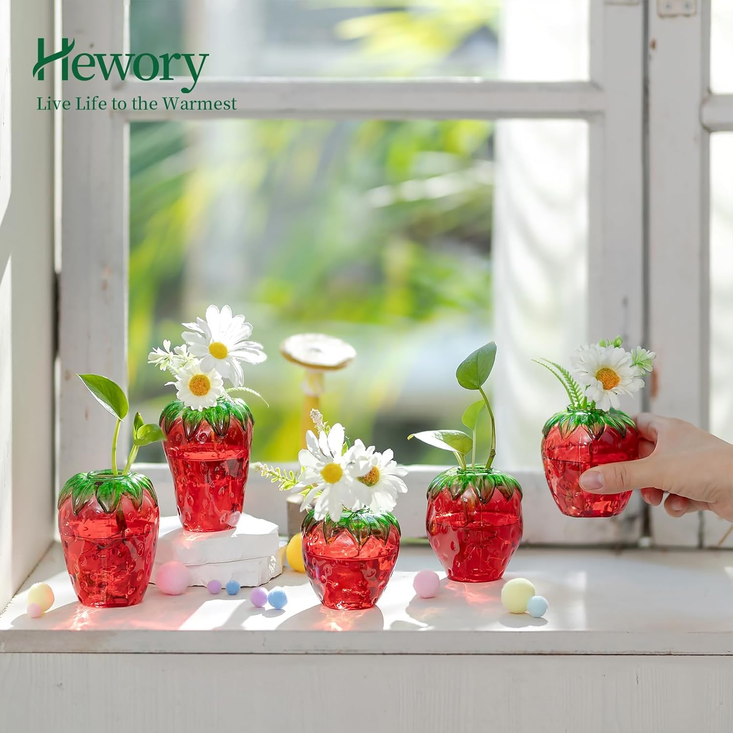 Glass Strawberry Plant Vases for Home Decor and Propagation