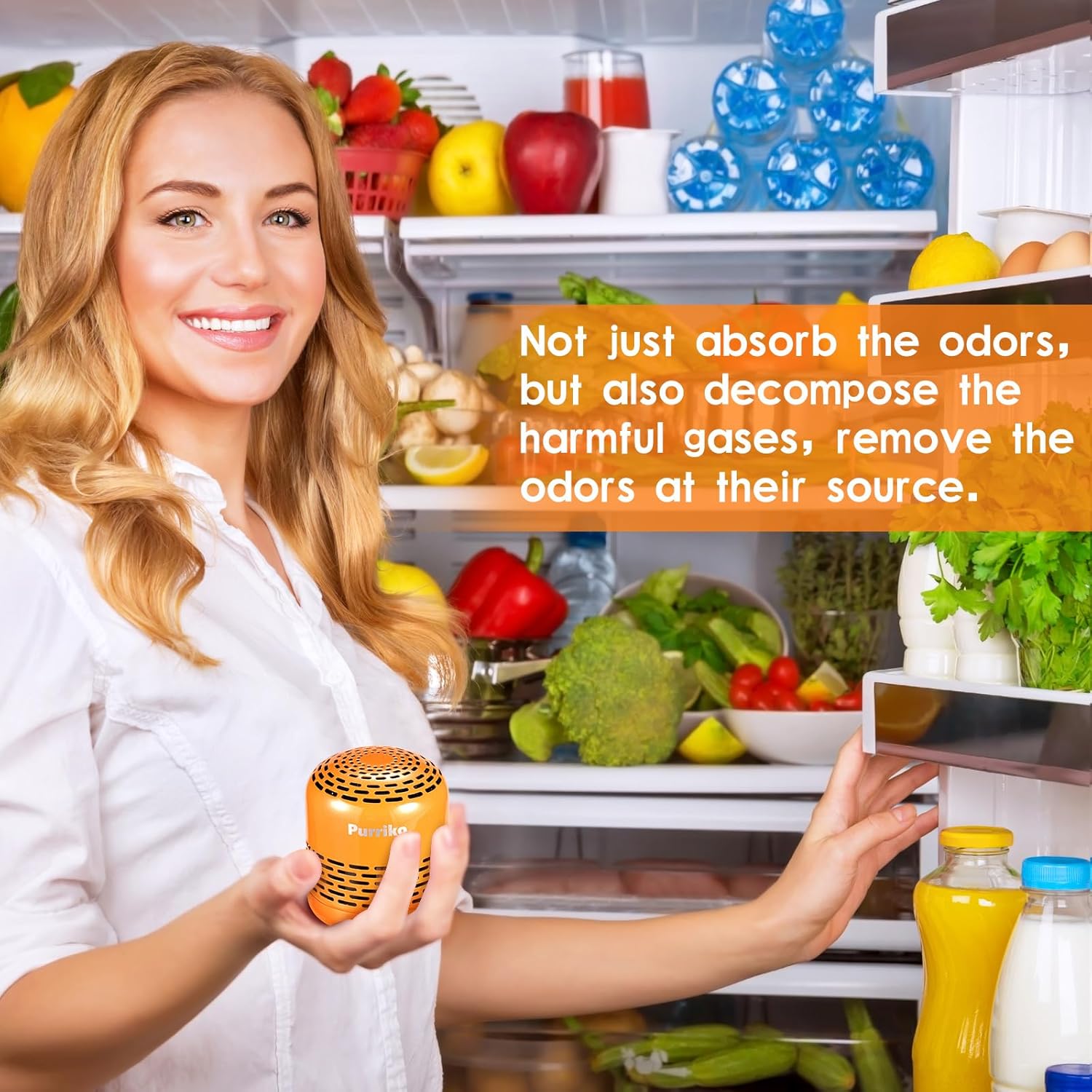 Purriko Fridge Deodorizer with 10-Year Life