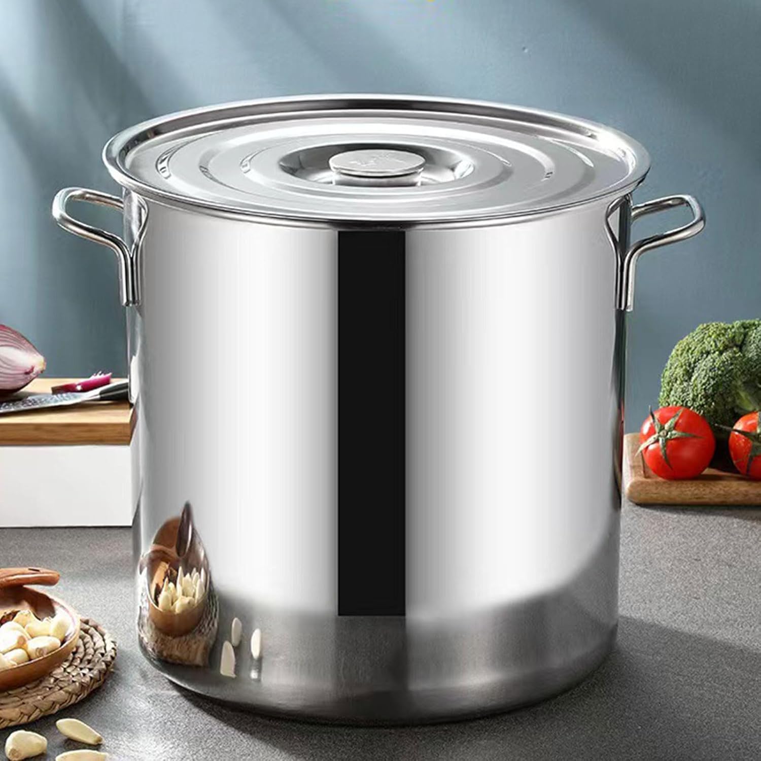 AIZYR 6L Stainless Steel Stock Pot with Lid