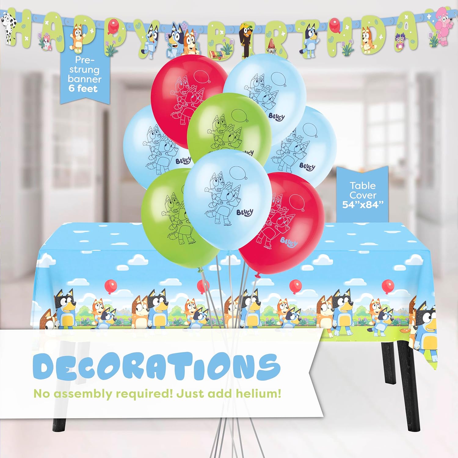 Bluey Birthday Decorations for 16 Guests