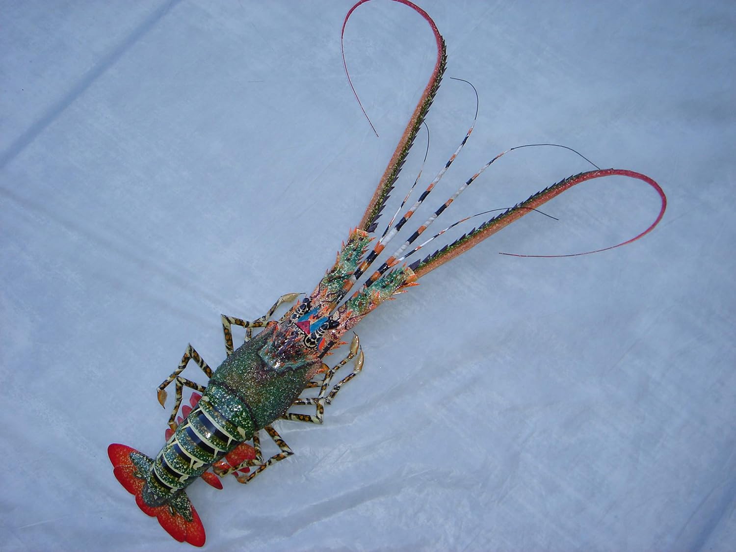 Super-Skin Handmade Bamboo Big Lobster Wall Sculpture 31 Inch