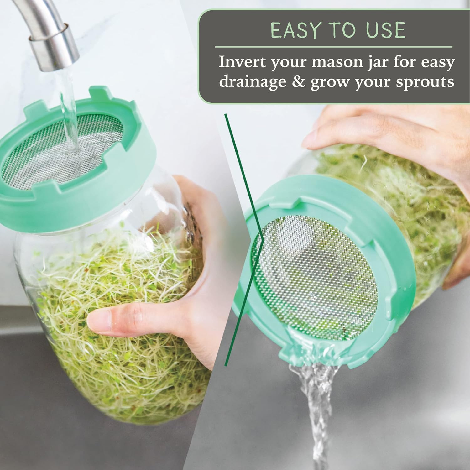 Elementi Sprouting Jar Kit Set of 2 for Mason Jars