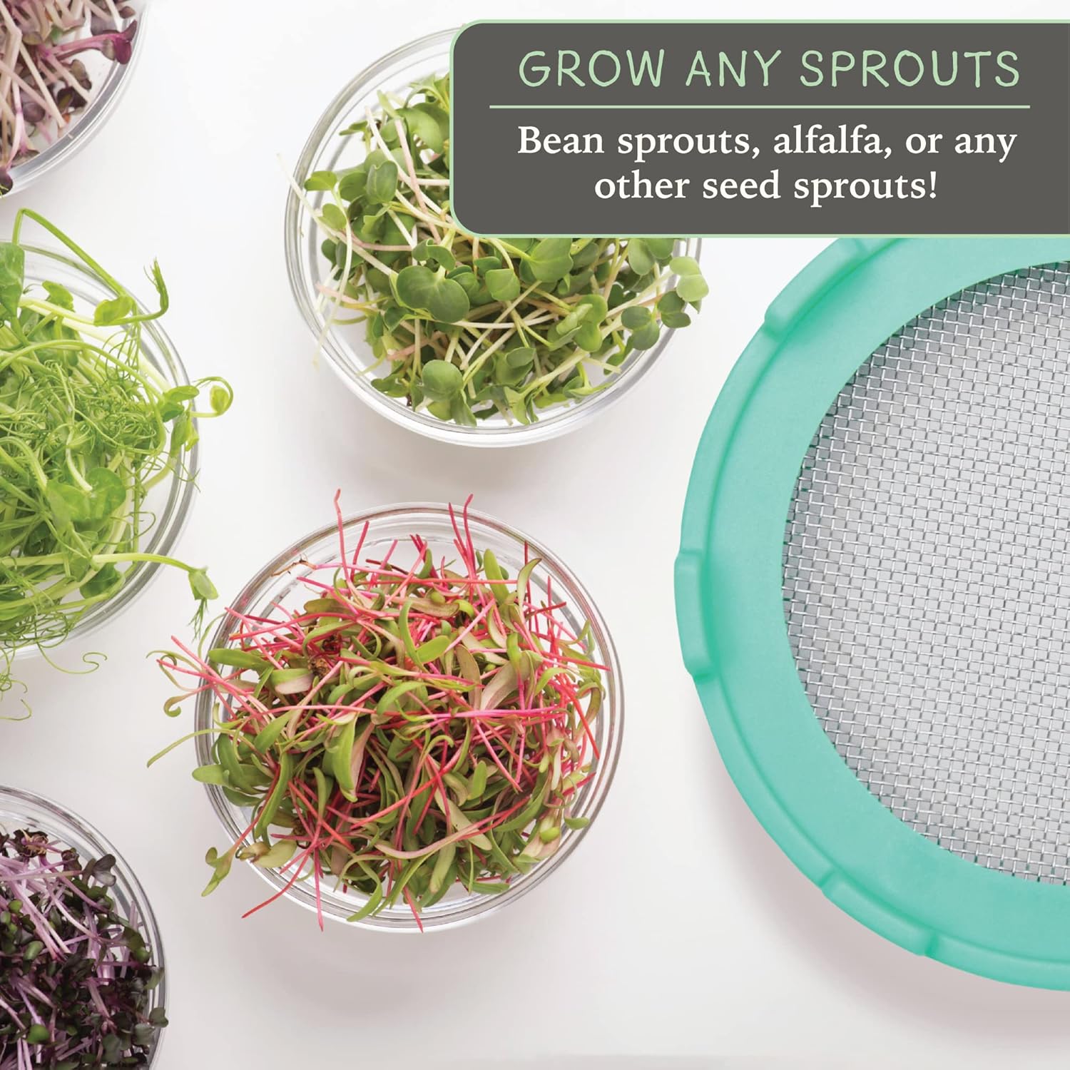 Elementi Sprouting Jar Kit Set of 2 for Mason Jars