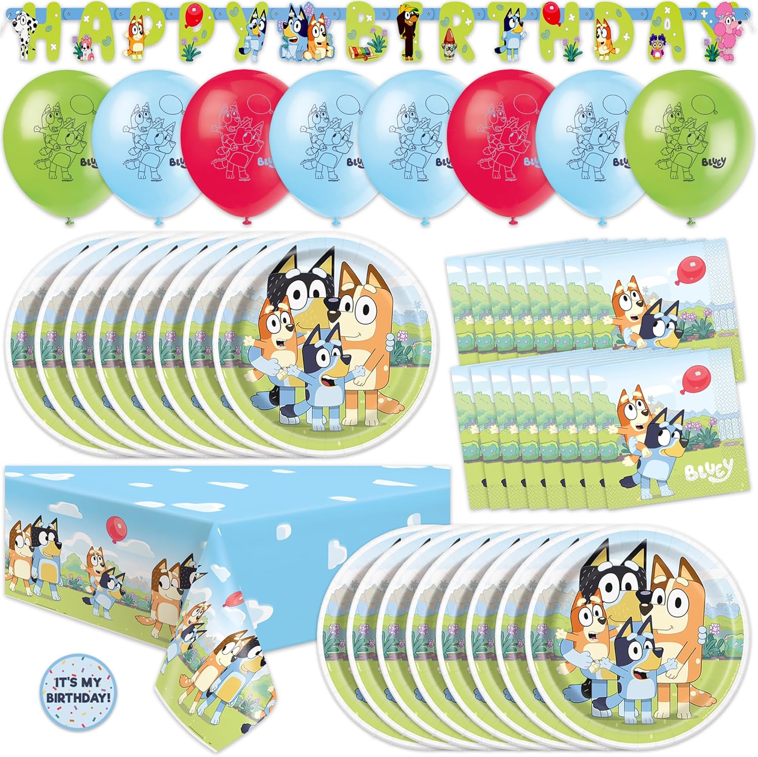 Bluey Birthday Decorations for 16 Guests