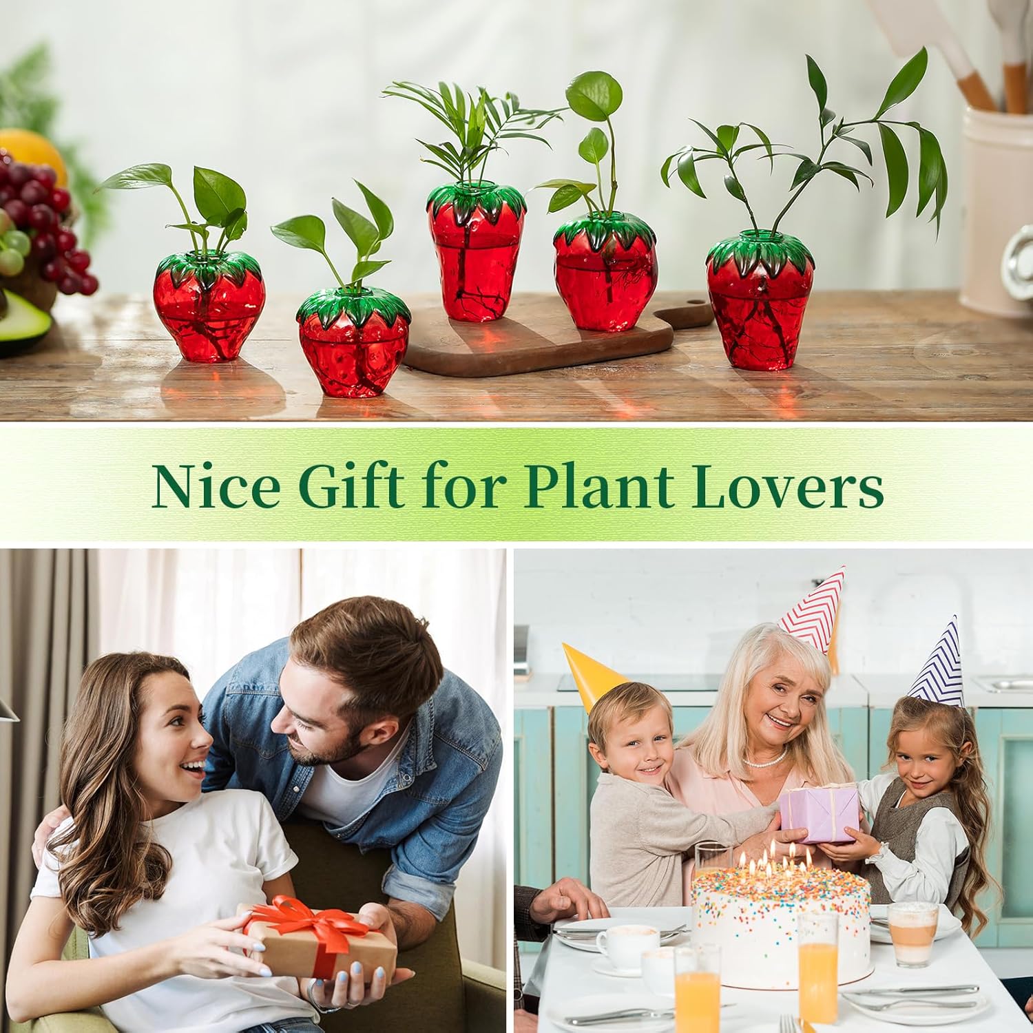 Glass Strawberry Plant Vases for Home Decor and Propagation