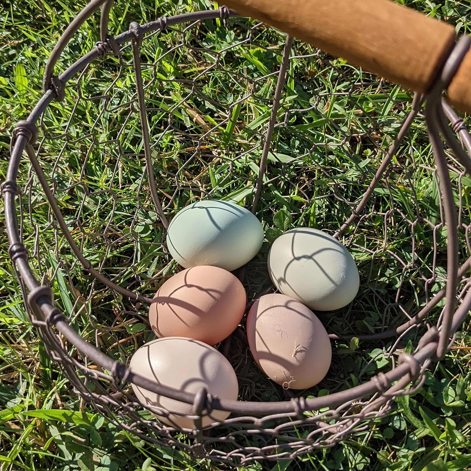 Round Chicken Wire Egg Basket with Wooden Handle